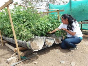 Mujeres agricultoras tienen más interés que los hombres en capacitarse