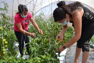 Lanzan academia para mujeres empresarias de Atacama y Coquimbo