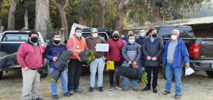 Impulsan reforestación de bosques quemados en comunas del Maule