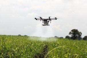 Crean software para dron que libera controladores biológicos en los campos