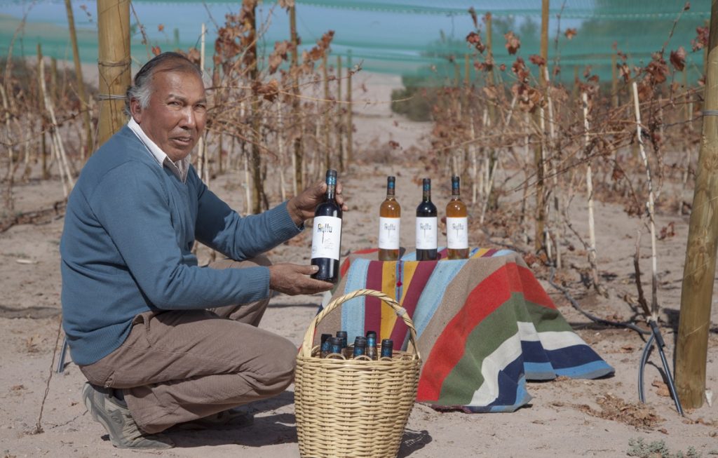 Invitan a pequeños productores vitivinícolas a participar del Catad’Or Wine Awards 2021