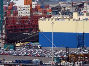 Puerto San Antonio logró peak de aumento mensual de transferencia de carga