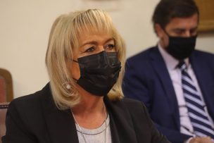 Diputada Troncoso solicita extender IFE Laboral hasta marzo en sector agrícola y turismo