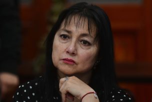 Diputada Marzán denuncia que uso de plaguicidas estaría provocando serios problemas de salud a vecinos de Llay-Llay y Cotemu