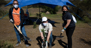 Realizan masiva plantación de árboles nativos en la comuna de Peñalolén