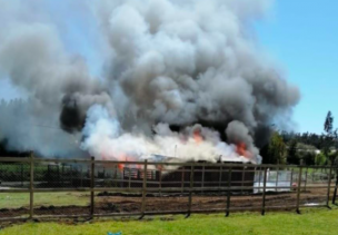 Región del Biobío: Reportan nuevos ataques incendiarios en la provincia de Arauco