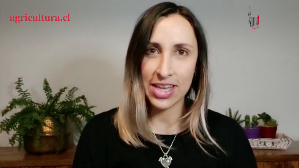 ¿Hacer mil cosas al mismo tiempo?: Confirma en esta nota si eres una “Mamá pulpo”