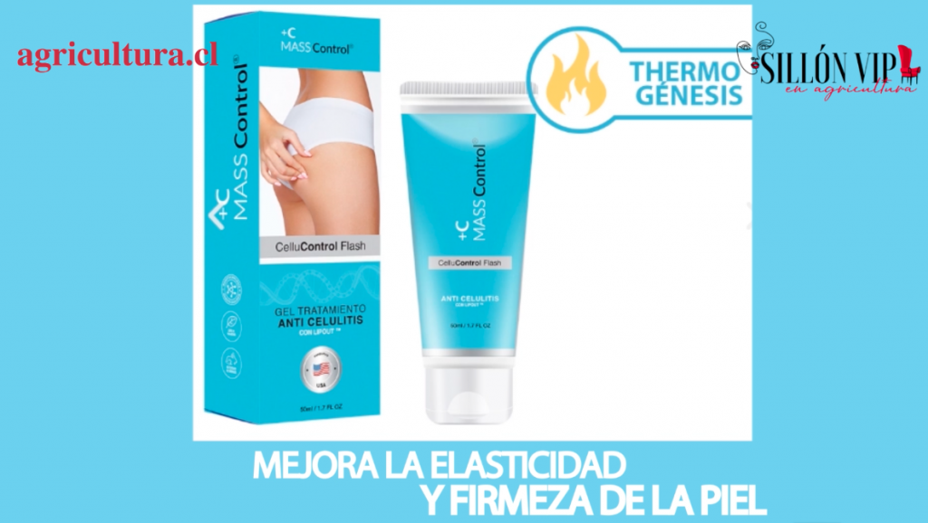 ¡Elimina la celulitis en sencillos pasos con este dato!