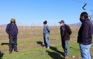 Director regional de INDAP destacó esfuerzo de pequeños agricultores de Coltauco y San Fernando