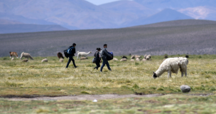 Colchane: Venezolana engrosa lista de víctimas en la frontera de Chile con Bolivia