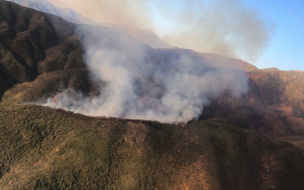 Declaran alerta amarilla por incendio en Limache: Siniestro amenaza la distribución eléctrica