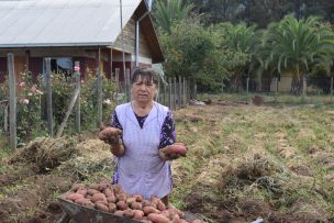 Desafíos para Chile en el Día Mundial de la Alimentación 2021