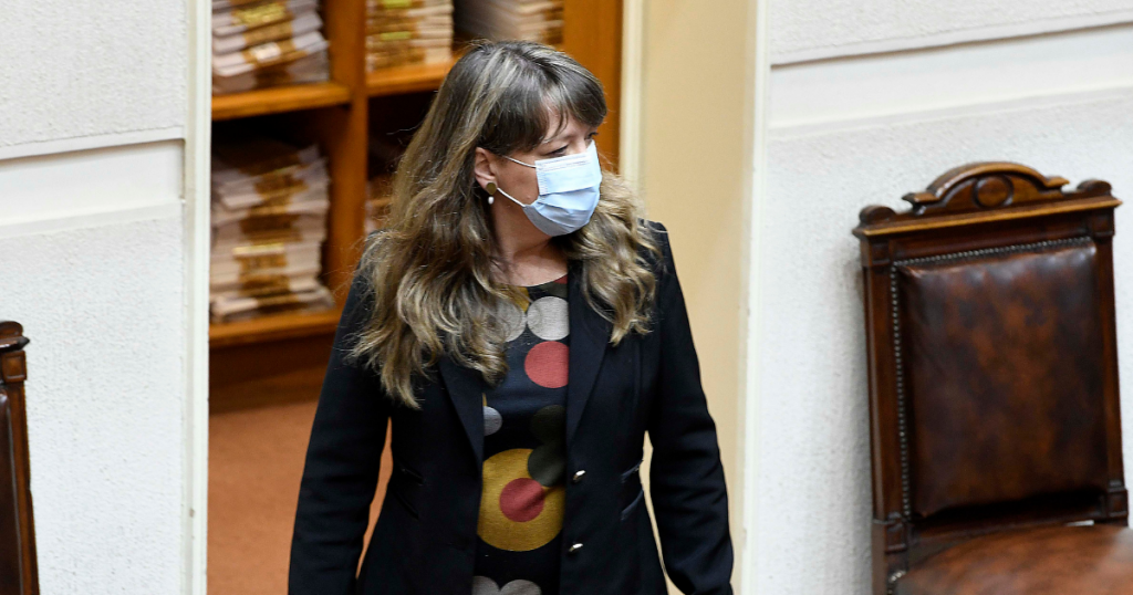 Von Baer por solicitud de extender Estado de Emergencia en Los Ríos: “Tenemos que evitar que avance esta situación de narcoterrorismo hacia el sur”