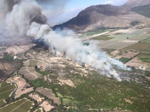 Alerta Amarilla para Panquehue por incendio forestal de gran escala 