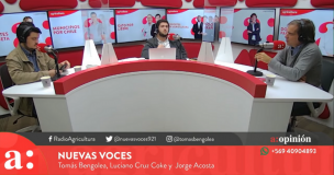 Luciano Cruz-Coke sobre iniciar redacción de la nueva Constitución el 18 de octubre: 