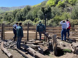 Autoridades supervisan funcionamiento de barrera sanitaria del SAG