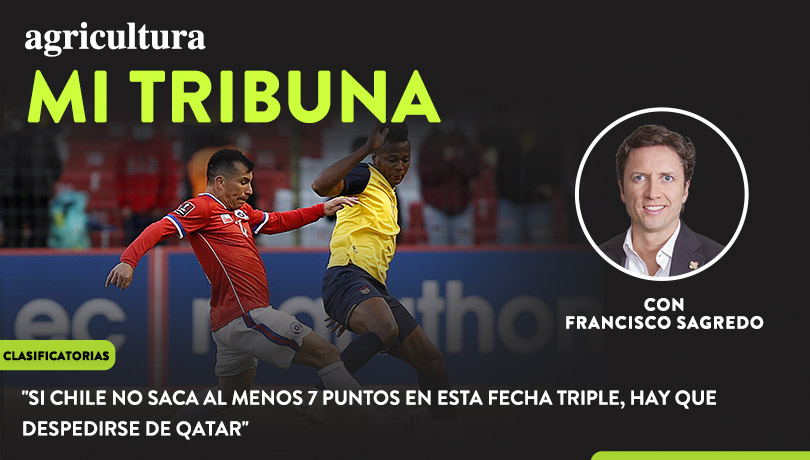 [Video] Columna de Francisco Sagredo: “Si Chile no saca al menos 7 puntos en esta fecha triple, hay que despedirse de Qatar”
