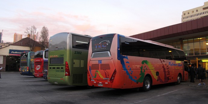 Asociación Gremial de Buses solicita apertura de fronteras terrestres y acusa discriminación de autoridades