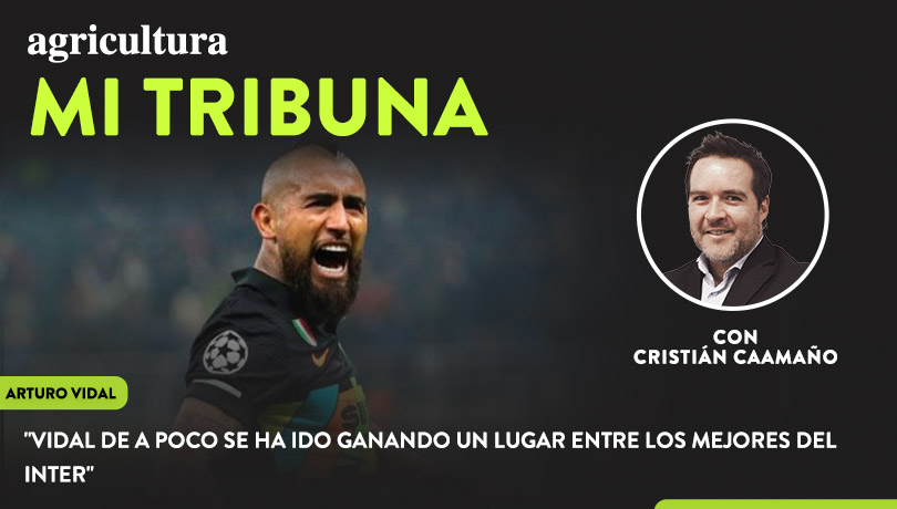 [Video] Columna de Cristián Caamaño: “Vidal de a poco se ha ido ganando un lugar entre los mejores del Inter”