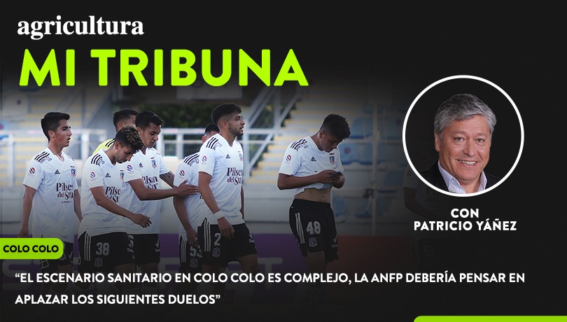 [Video] Columna de Patricio Yáñez: “El escenario sanitario en Colo Colo es complejo, la ANFP debería pensar en aplazar los siguientes duelos”