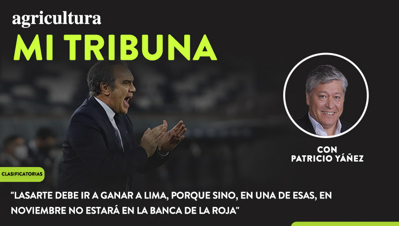[Video] Columna de Pato Yáñez: “Lasarte debe ir a ganar a Lima, porque sino, en una de esas, en noviembre no estará en la banca de la Roja”