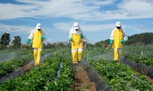 Crean nanocápsulas con desechos de crustáceos para contener agroquímicos y disminuir su impacto