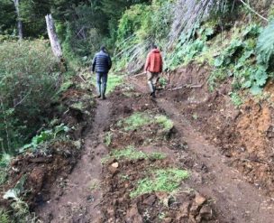 Hasta el 15 de octubre: Postula al Programa Caminos Intraprediales INDAP