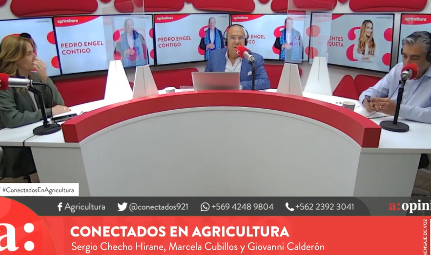 Checho Hirane por aniversario 18-O: “Fíjense bien por quién votar, Boric y Provoste quieren indultar a los que destruyeron”