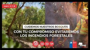 CONAF lanza campaña de prevención de incendios forestales 2021-2022