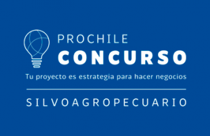 ProChile abre nueva convocatoria para el Concurso Silvoagropecuario 2022