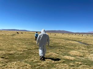 Mujer boliviana se convierte en la 16° víctima fatal en Colchane