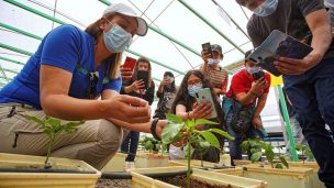 Estudiantes de San Pedro de Atacama fortalecen sus capacidades agrícolas