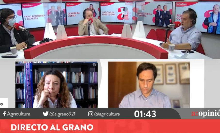 Diputado Undurraga por violencia en La Araucanía: “Este es un problema creado por fuerzas extranjeras”