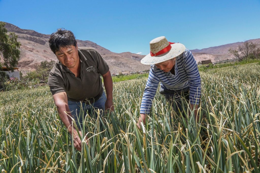Agricultura familiar diversifica cultivos para adaptarse al cambio climático