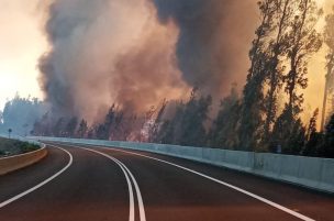 Onemi mantiene Alerta Amarilla por incendio forestal en Panquehue: Ha consumido 100 hectáreas