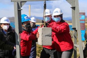 Nueva inversión en Parque Nacional Torres del Paine contempla más de un millón de árboles reforestados