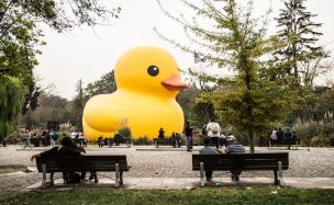 Vuelve a Chile el pato gigante de hule: Revisa desde cuándo y dónde podrás visitarlo