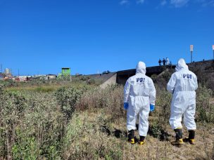 Coquimbo: Encuentran cadáver que flotaba en Humedal El Culebrón