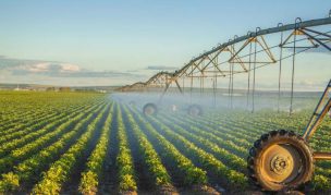 Región del Biobío lidera en técnicas de riego tecnificado