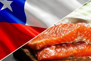 Envíos de salmón y trucha destacan: aumentan más de 40% en septiembre