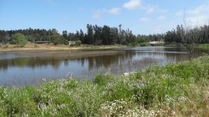 Denuncian extracción ilegal de agua en humedal de Colina