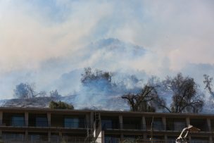 Incendio forestal en Manquehue es contenido tras cinco horas de trabajos: Labores continuarán durante la noche