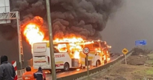 Nuevo ataque incendiario en el Biobío: Queman dos buses que transportaba trabajadores en Lota