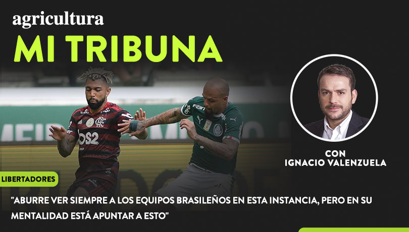 [Video] Columna de Ignacio Valenzuela: “Aburre ver siempre a los equipos brasileños en esta instancia, pero en su mentalidad está apuntar a esto”