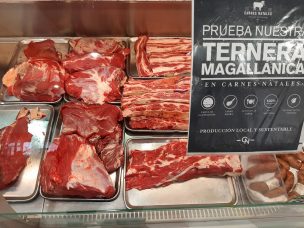 Innovación apuesta para que el 20% de las terneras magallánicas se conviertan en calidad premium