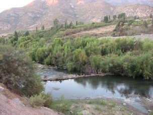 Regantes denuncian robo de agua en Río Choapa en medio de grave sequía