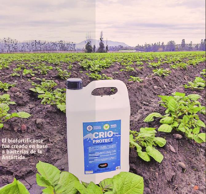 Innovación que protege a las plantaciones de las heladas representará a Chile en Francia
