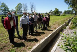 Director de Indap inaugura obras de mejoramiento del canal Ranquililahue en Ñuble