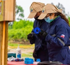 Estudiantes del Liceo Agrícola El Carmen obtienen medalla de oro en Olimpiadas WorldSkills Chile