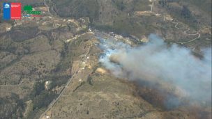 Alerta Roja para la comuna de Cartagena por incendio forestal